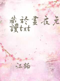 藏于昼夜免费阅读txt