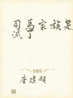 司马家族是被谁灭了