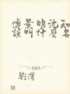 傅景明沈知意小说叫什么名字