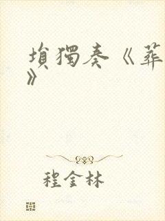 埙独奏《葬花吟》