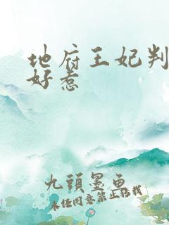 地府王妃判官不好惹