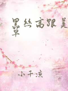 黑丝高跟美女被草