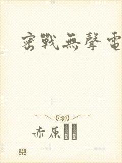 密战无声电视剧