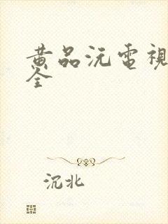 黄品沅电视剧大全