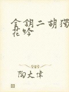 金钥二胡独奏葬花吟