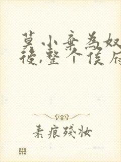 莫小弃为奴三年后,整个侯府跪求我原谅