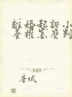 离婚起诉小孩抚养权怎么判 离婚起诉小孩抚养权怎么判