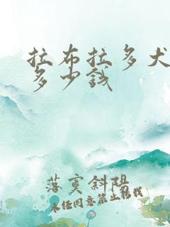 拉布拉多犬小狗多少钱