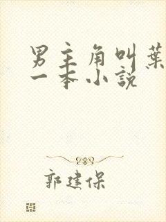 男主角叫叶凡的一本小说