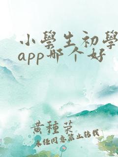 小学生初学英语app哪个好