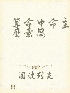 算命中命主是什么意思