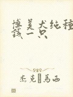 博美犬纯种多少钱一只