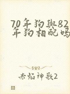 70年狗与82年狗相配吗? 70年狗与82年狗相配吗?