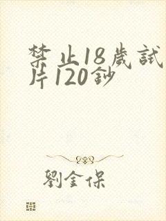 禁止18岁试看片120钞