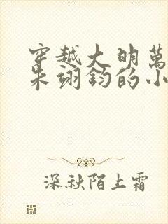 穿越大明万历帝朱翊钧的小说