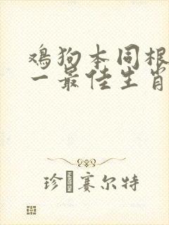 鸡狗本同根生打一最佳生肖