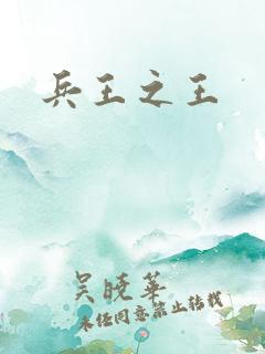 兵王之王