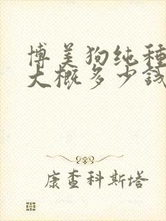 博美狗纯种一只大概多少钱