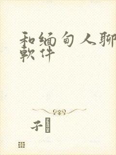 和缅甸人聊天的软件