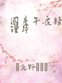 国产午夜精品论理片
