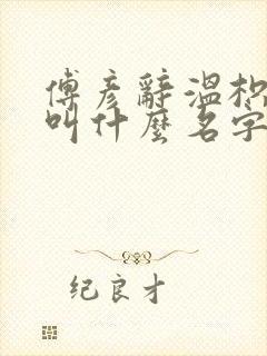 傅彦辞温枳小说叫什么名字