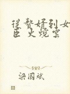 从赘婿到女帝宠臣 火烧云 从赘婿到女帝宠臣 火烧云