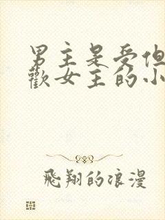 男主是受但是喜欢女主的小说