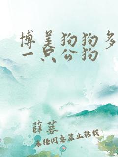 博美狗狗多少钱一只公狗