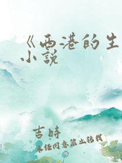 《西港的生活》小说