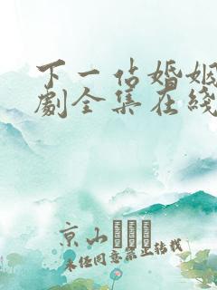 下一站婚姻电视剧全集在线观看免费