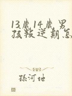 13岁14岁男孩叛逆期怎么办