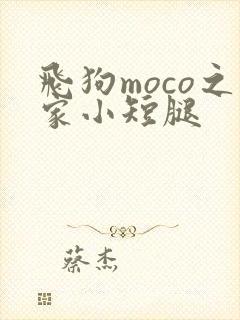 飞狗moco之家小短腿