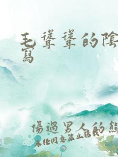 毛耸耸的阴户特写
