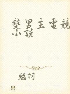 双男主电竞甜文小说