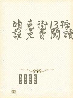 明克街13号小说免费阅读无弹窗