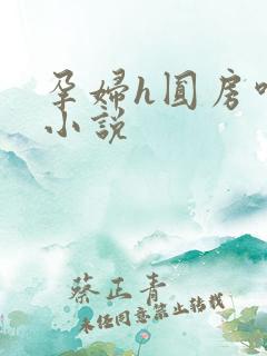 孕妇h圆房呻吟小说