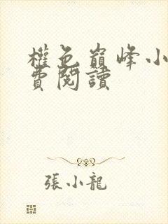 权色巅峰小说免费阅读