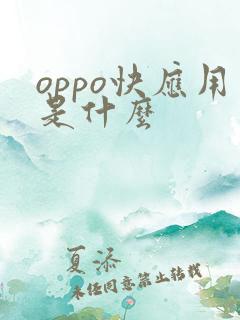 oppo快应用是什么