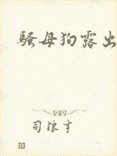 骚母狗露出h