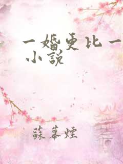 一婚更比一婚高 小说