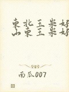 东北玉米好还是山东玉米好