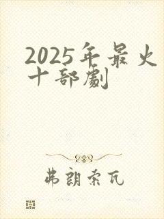 2025年最火十部剧