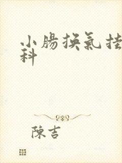 小肠换气挂什么科