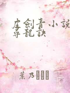 皮剑青小说天师寻龙诀