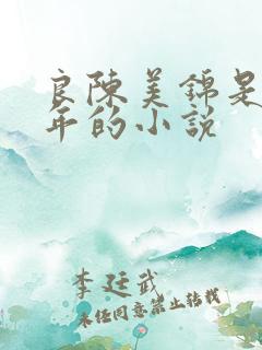 良陈美锦是哪一年的小说