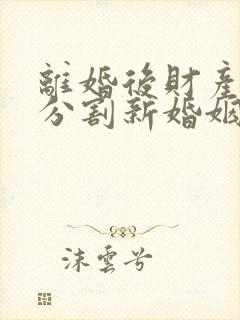 离婚后财产如何分割新婚姻法2023规定