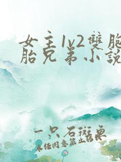 女主1v2双胞胎兄弟小说男主姓龙的小