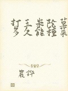 打玉米除草剂后多久能种菜
