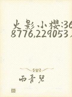 火影小樱:368776,229053在哪看