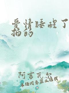 爱情睡醒了在哪拍的
